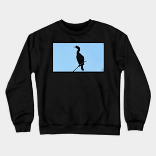 Double-crested Cormorant Perched Crewneck Sweatshirt